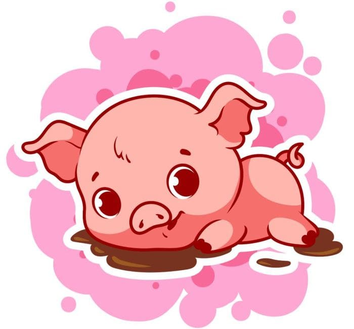 Little pig in a puddle