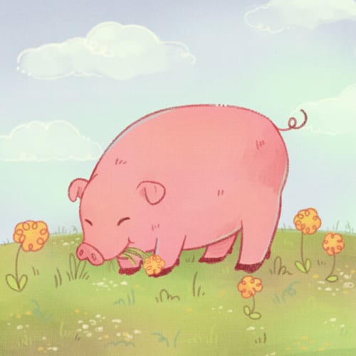 Piggy in the meadow