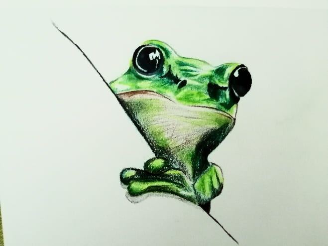 Realistischer Frosch