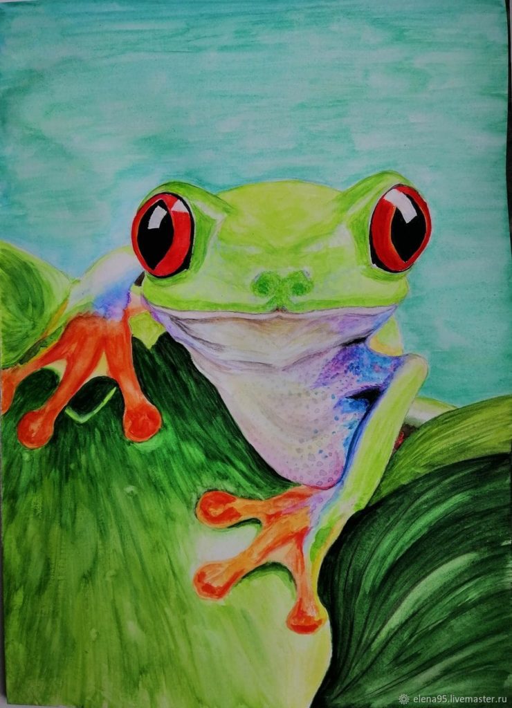 Frog beautiful drawing