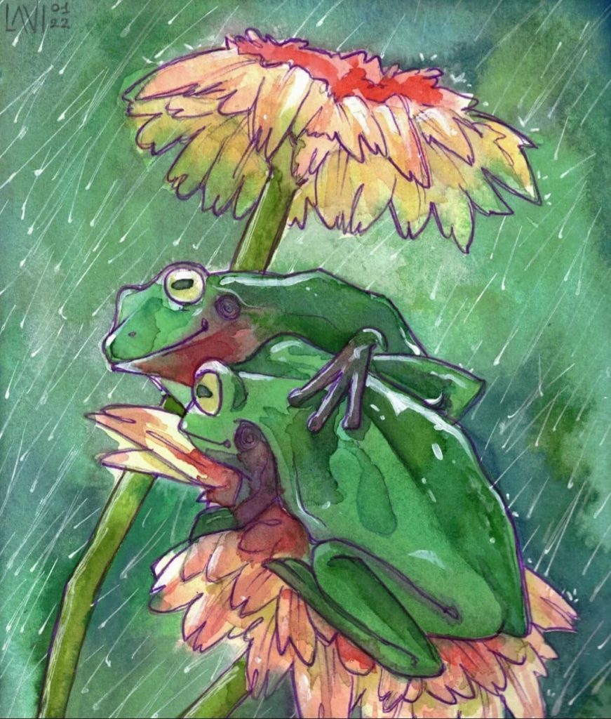 Deux grenouilles sous la pluie