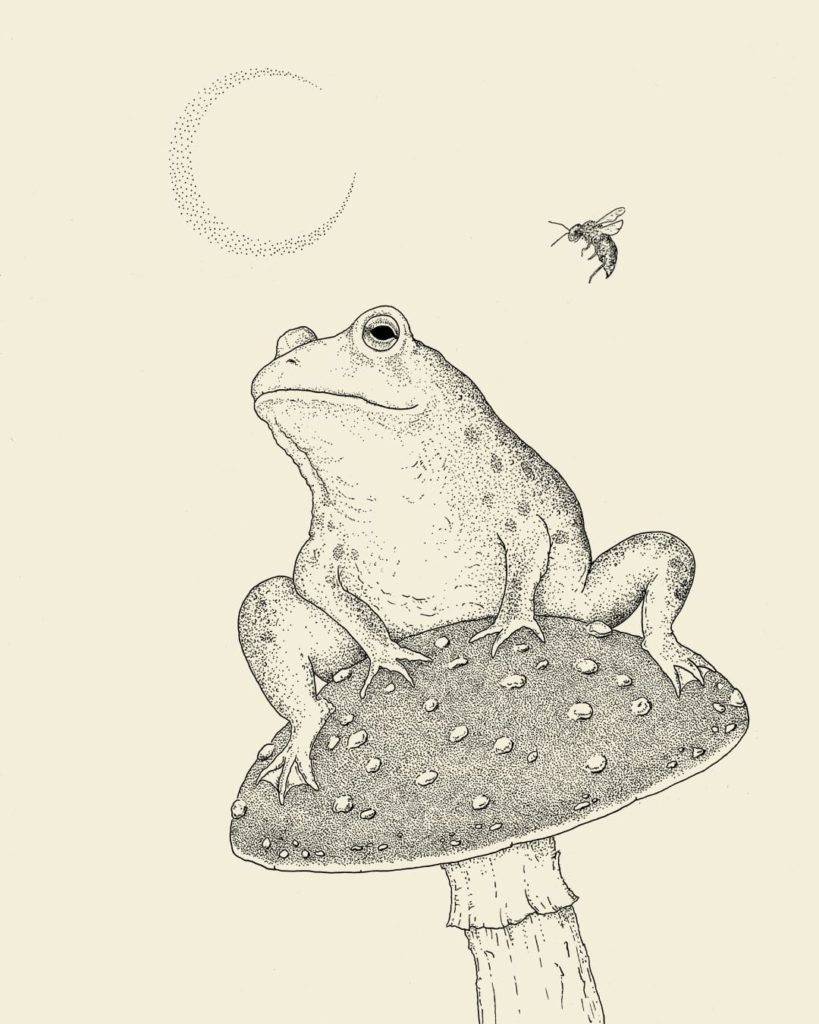 Realistic frog