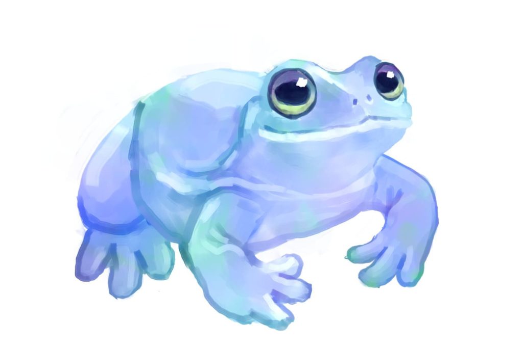 beautiful cute frog
