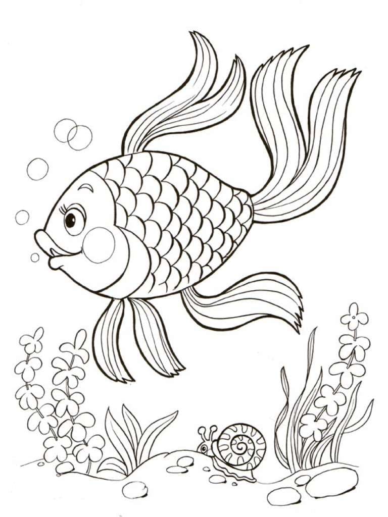 Золотая рыбка и улитка