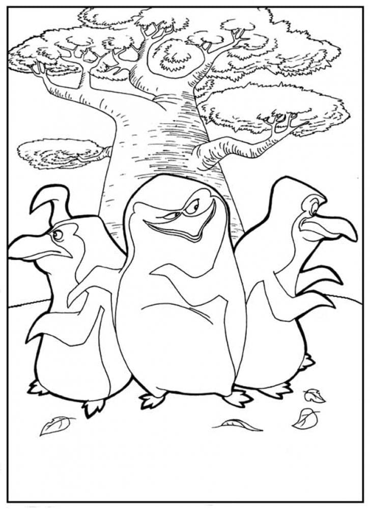 мадагаскарские пингвины