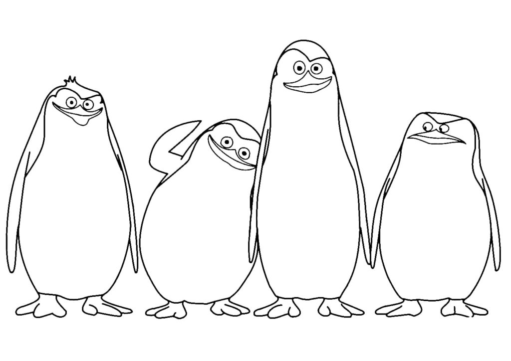 Pinguine von Madagaskar