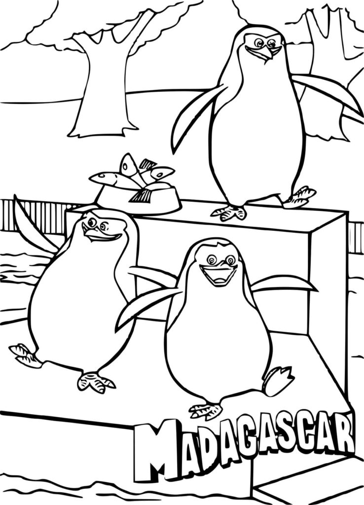 мадагаскарские пингвины