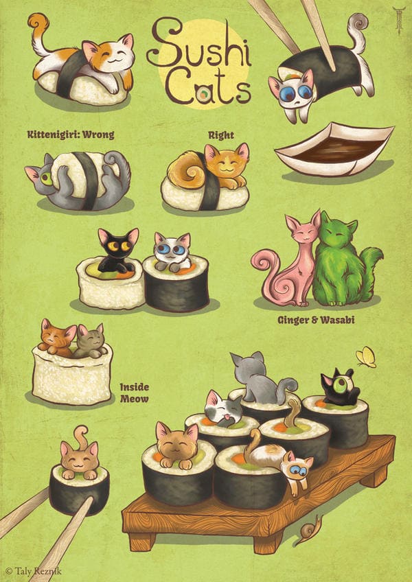 gatos de sushi