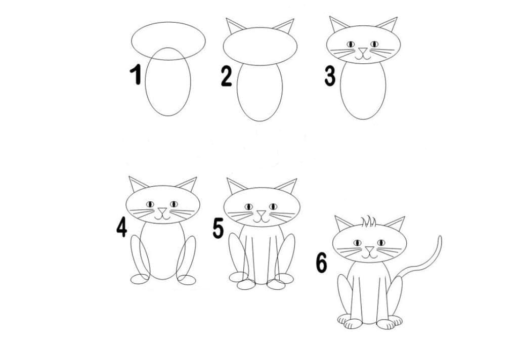 Cat step by step drawing
