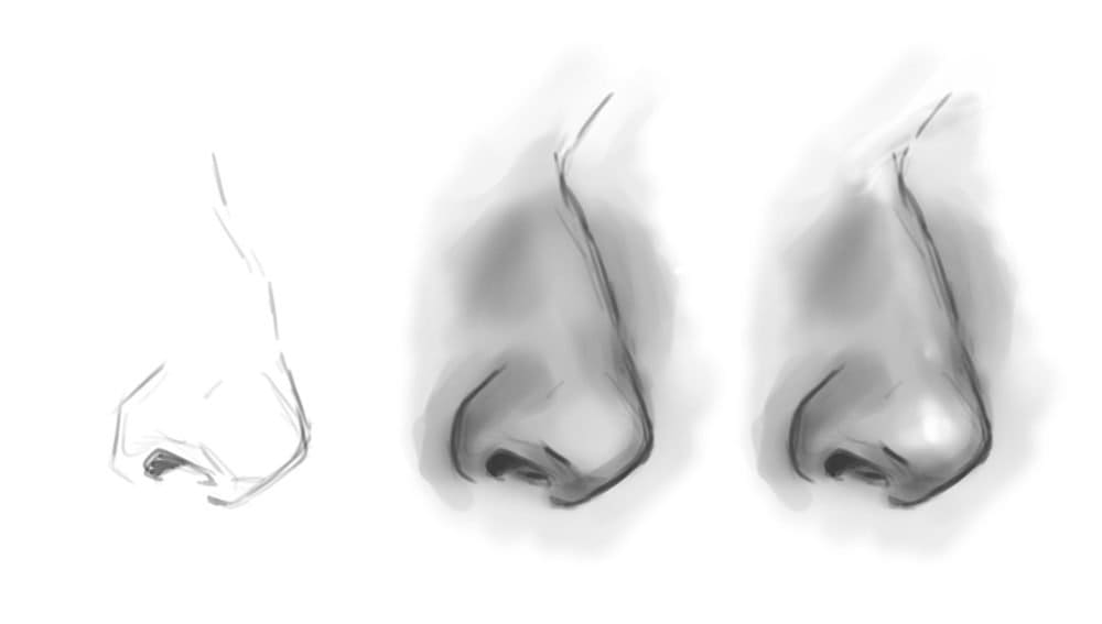 Nose Drawing