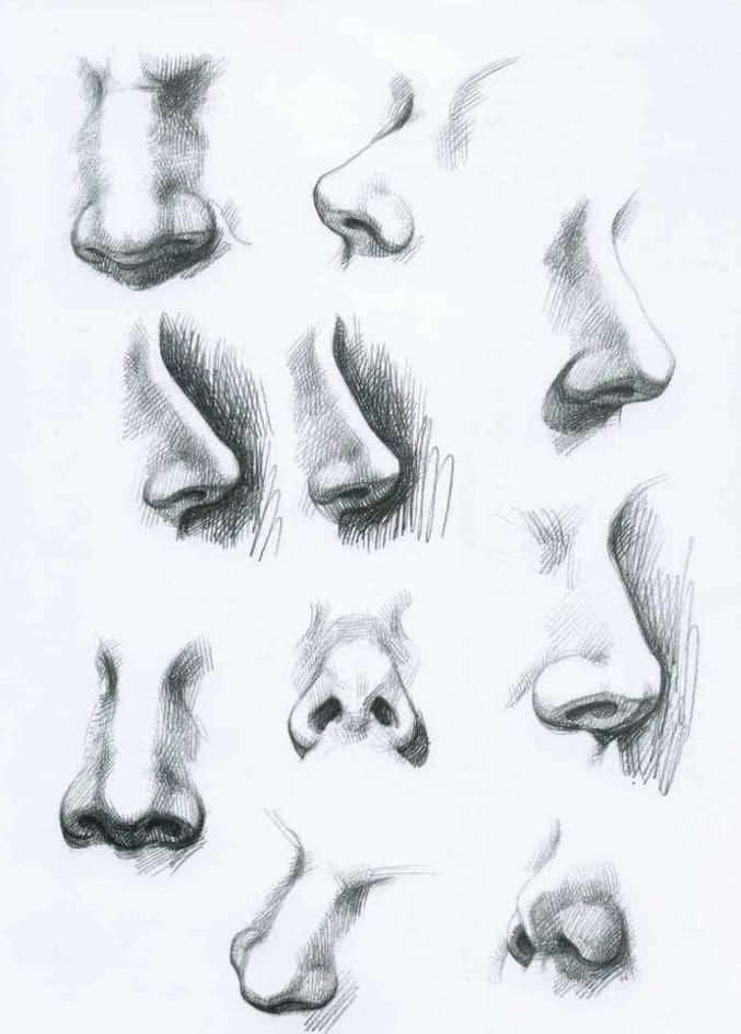 dibujo de la nariz