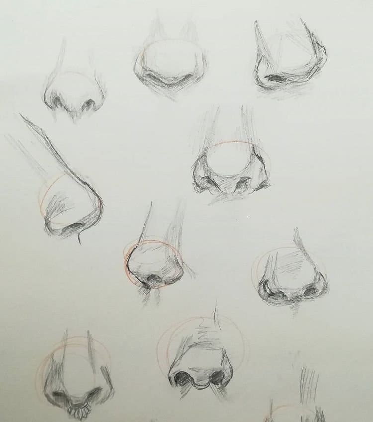 Nose Drawing easily