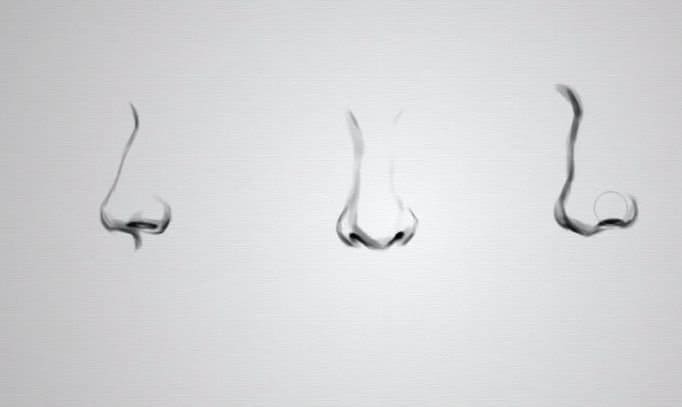 Nose pencil drawing step by step