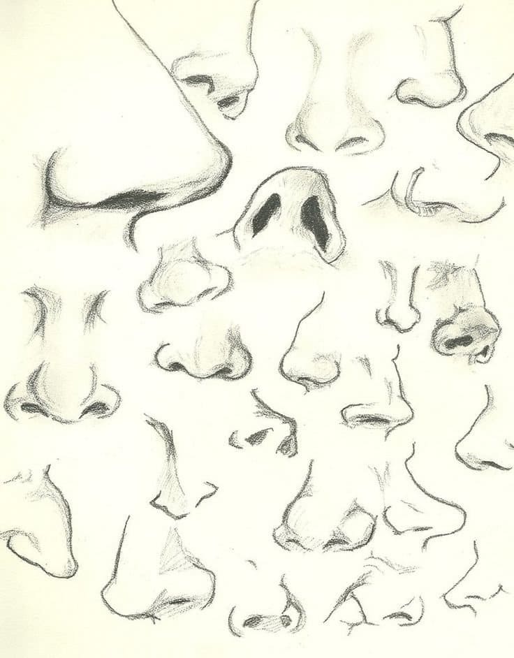 Dibujo a lápiz de la nariz