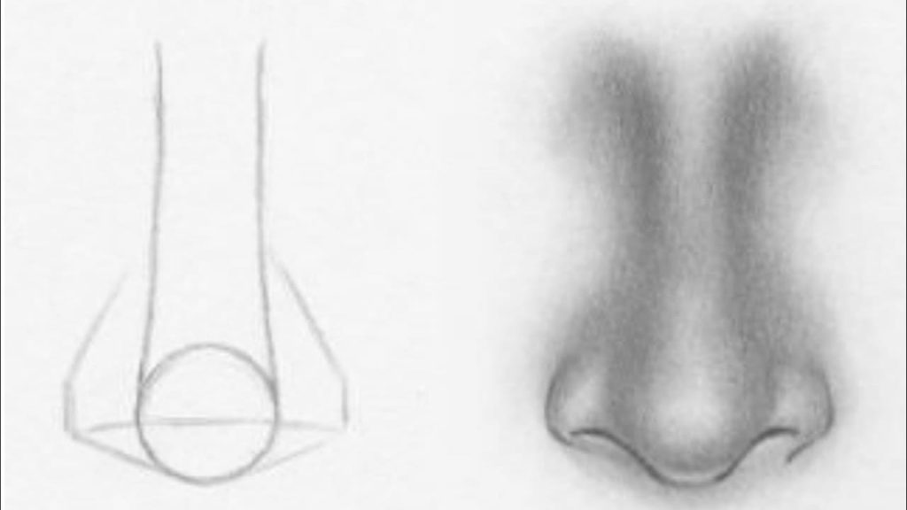 Dibujo a lápiz de la nariz