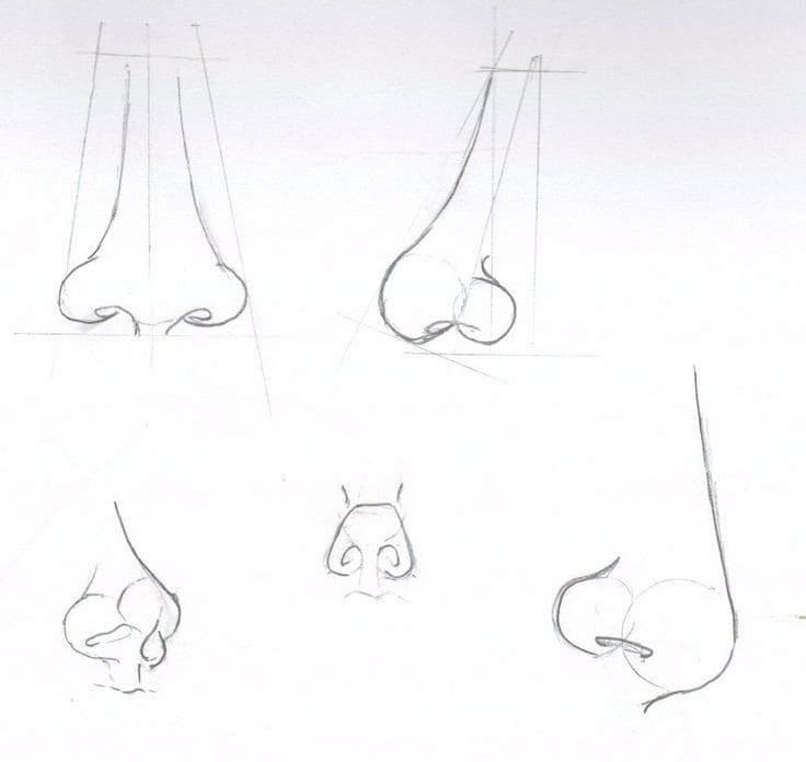 Nose step by step drawing