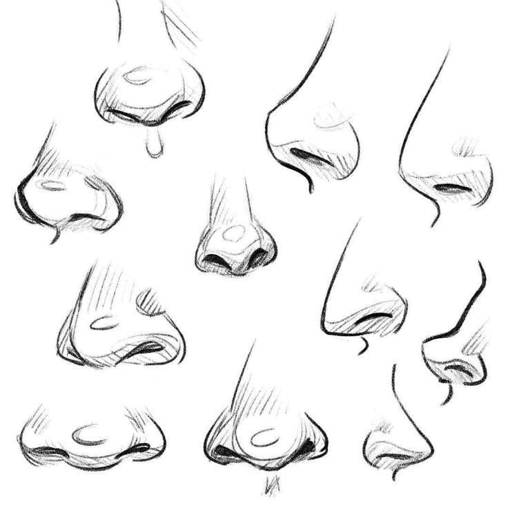 How to draw anime nose