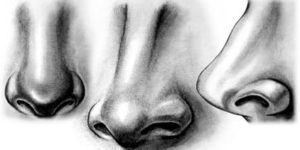 Как поэтапно нарисовать нос (55 Рисунков)
