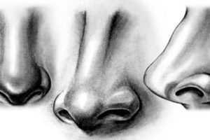 Как поэтапно нарисовать нос (55 Рисунков)