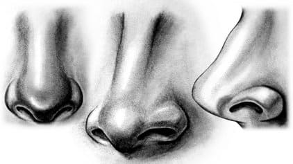 Lindo dibujo de nariz (55 Imágenes)