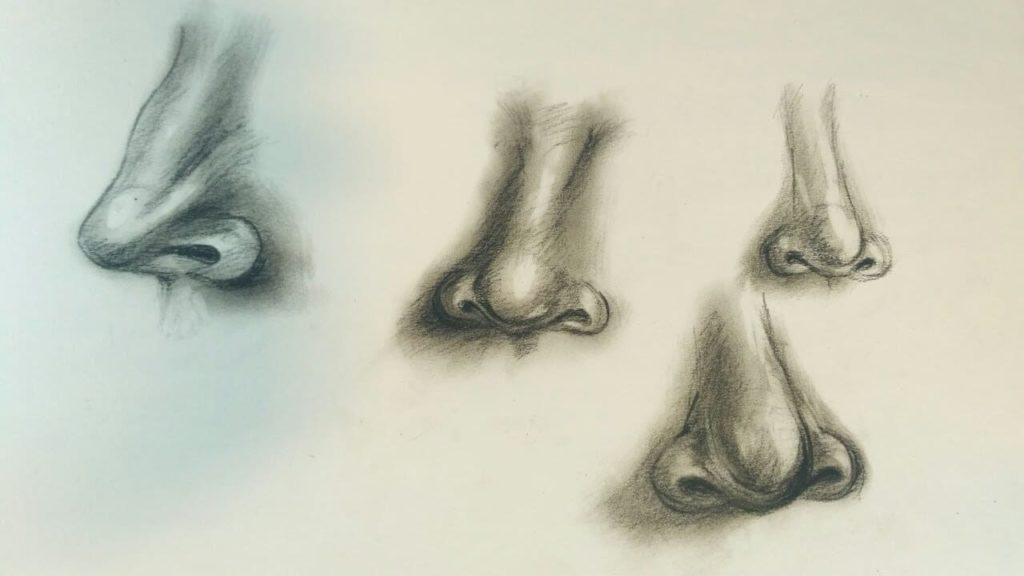 Formas de nariz para dibujar.