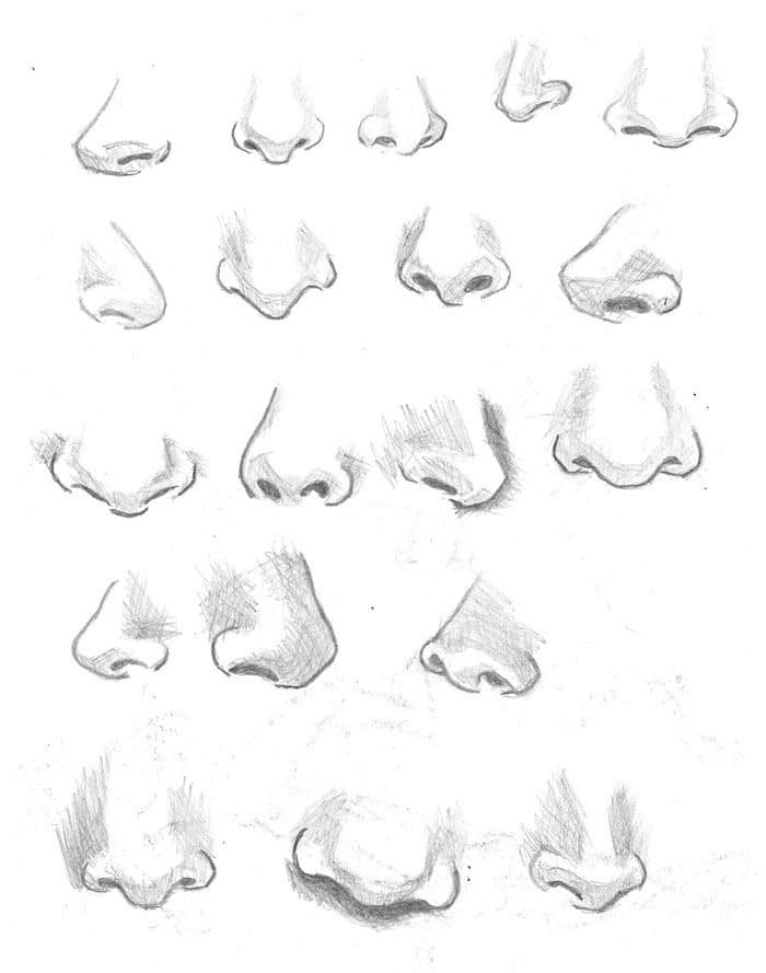 Nose forms for drawing