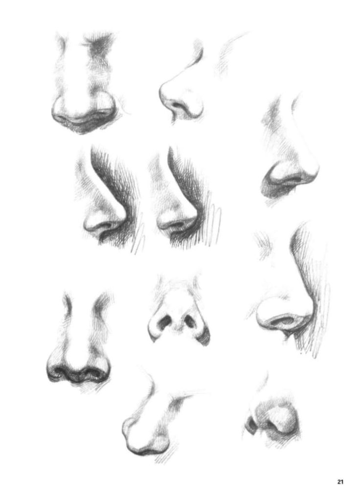 Nose drawing