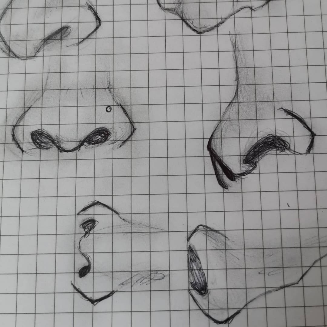 nose drawings in pencil