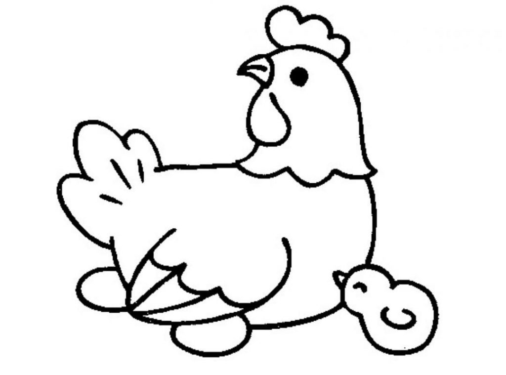Курица раскраски для детей