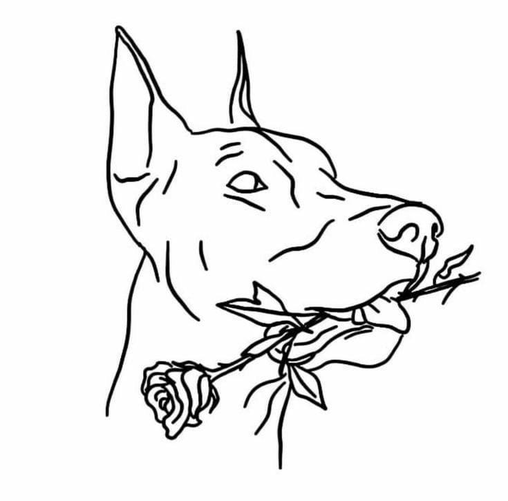 Doberman with a rose
