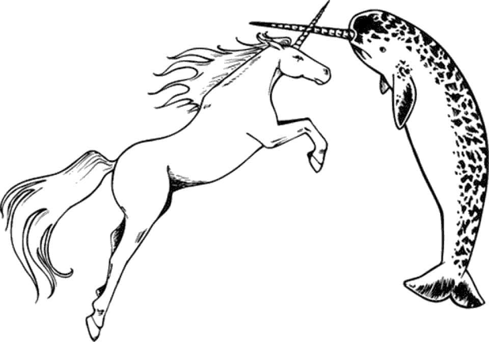 Narvalo e Unicorno