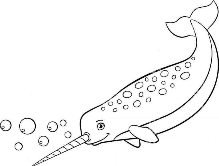 Ausmalbilder Narwal | Ausmalbilder zum ausdrucken