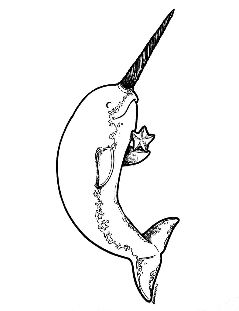 Narwhal and starfish