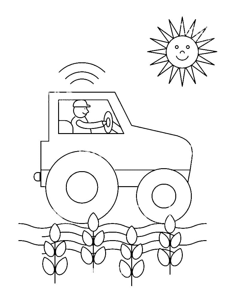 Tractor, flowers and sun
