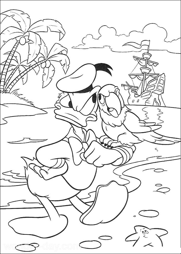 Donald Duck und ein Papagei