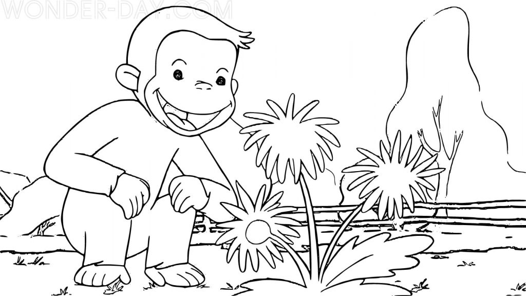 Curious George found beautiful flowers