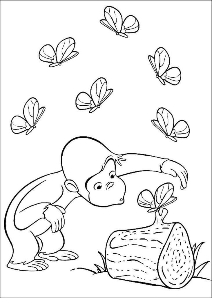 Curious George and butterflies