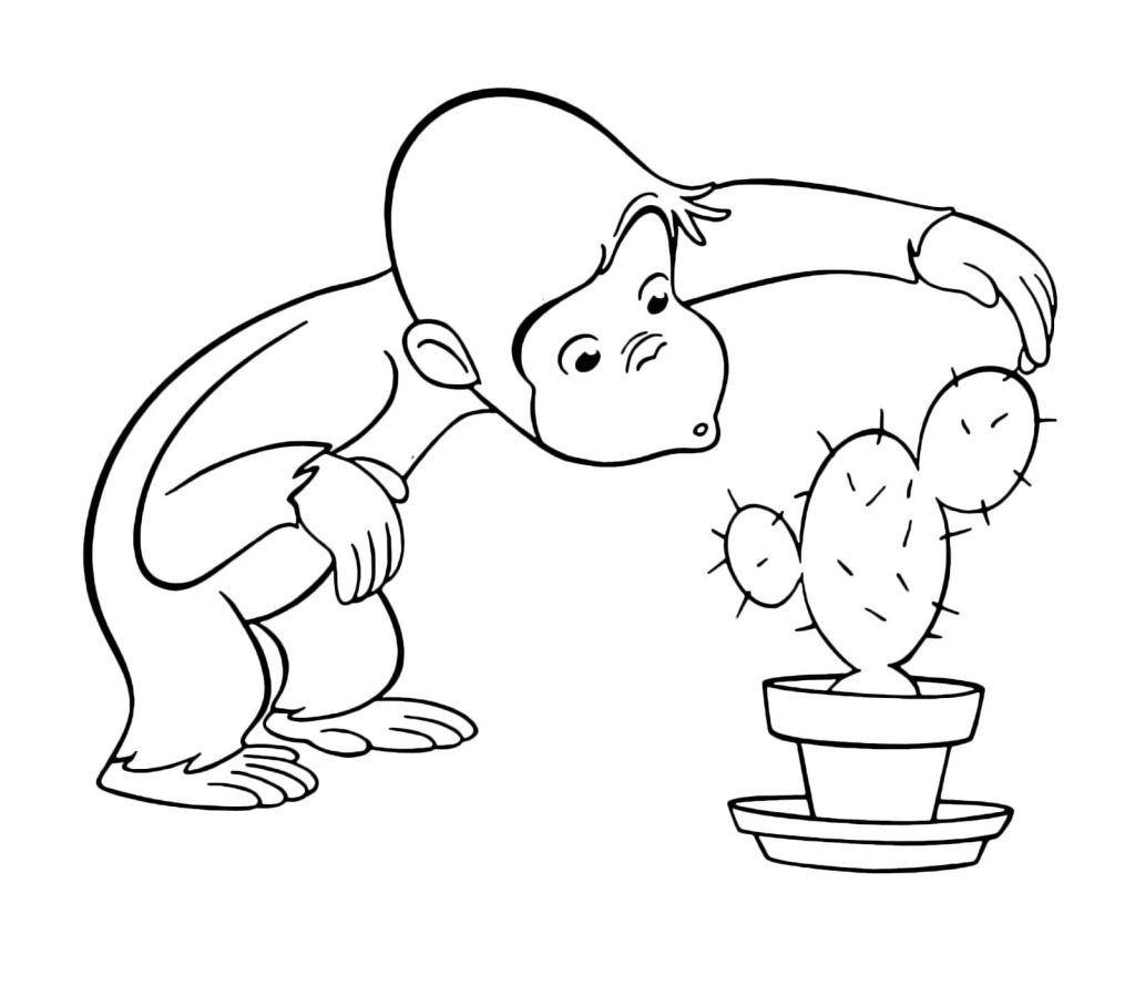 Curious George studying a cactus