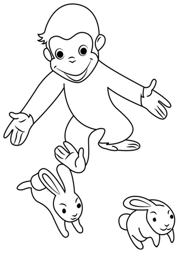 monkey and bunnies