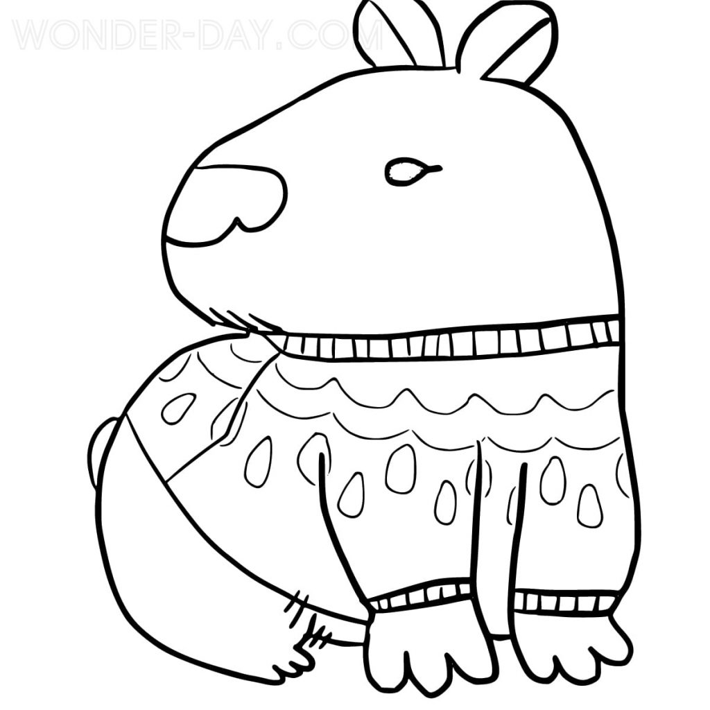 Capybara in einem Pullover