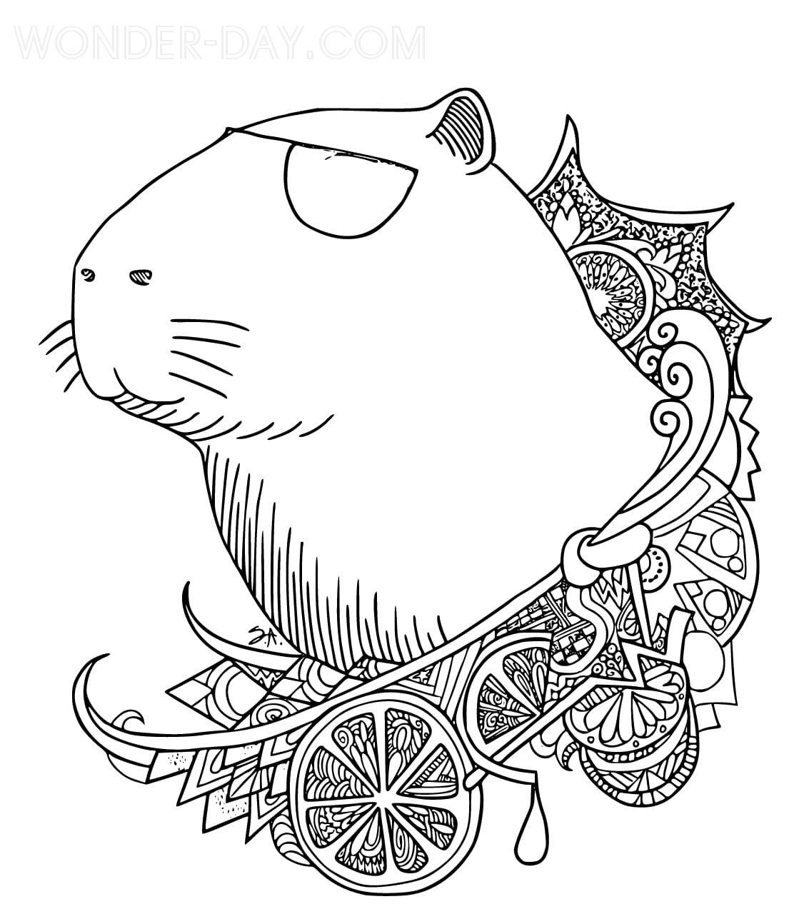 Desenhos de Capivara para Colorir