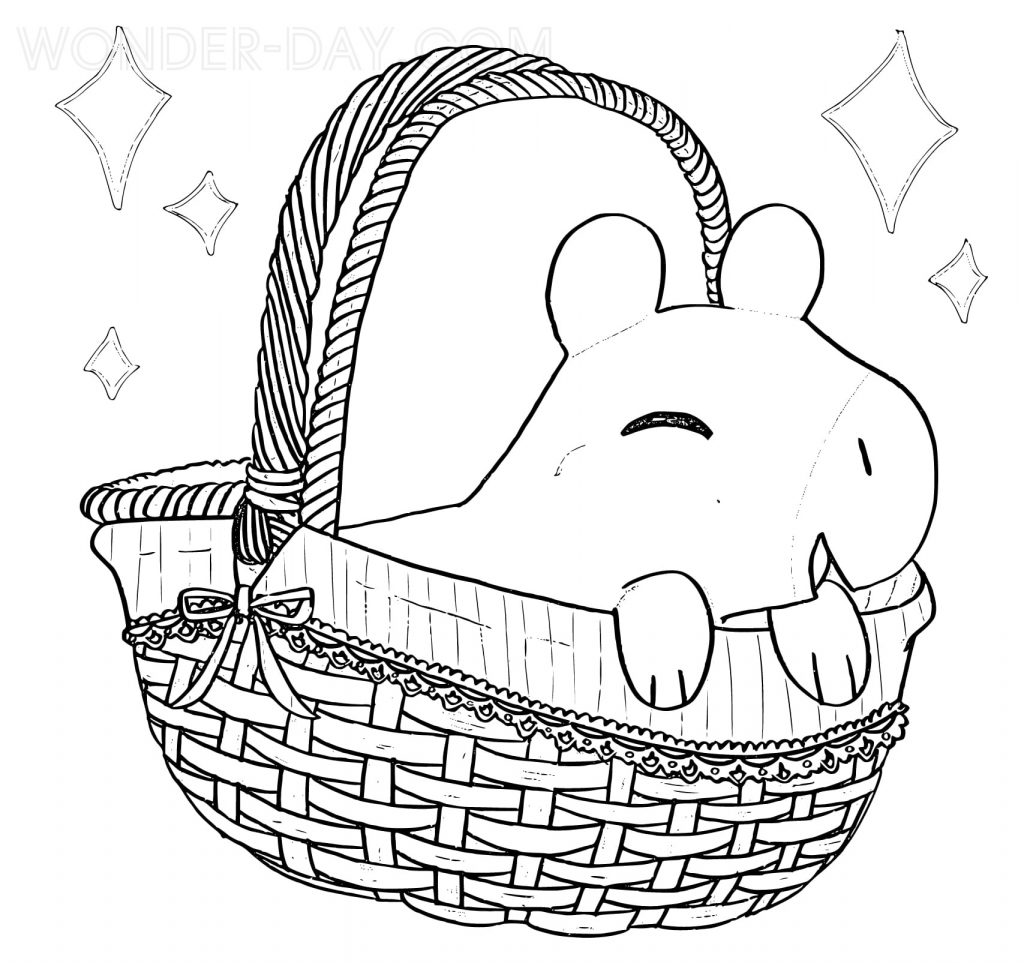 Cute capybara in a basket