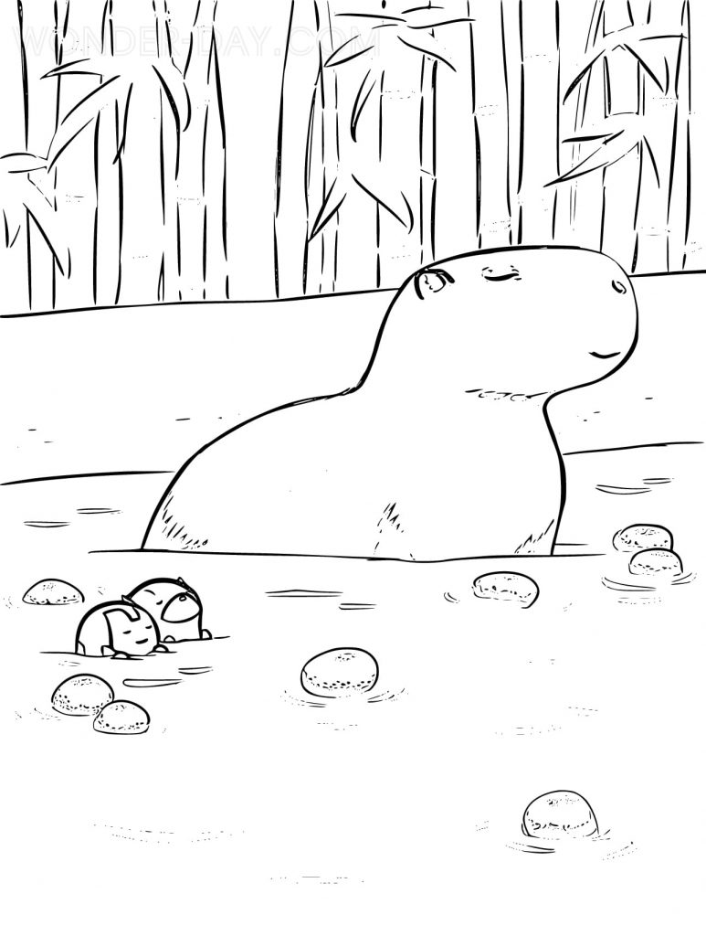 Capybara bathes in water