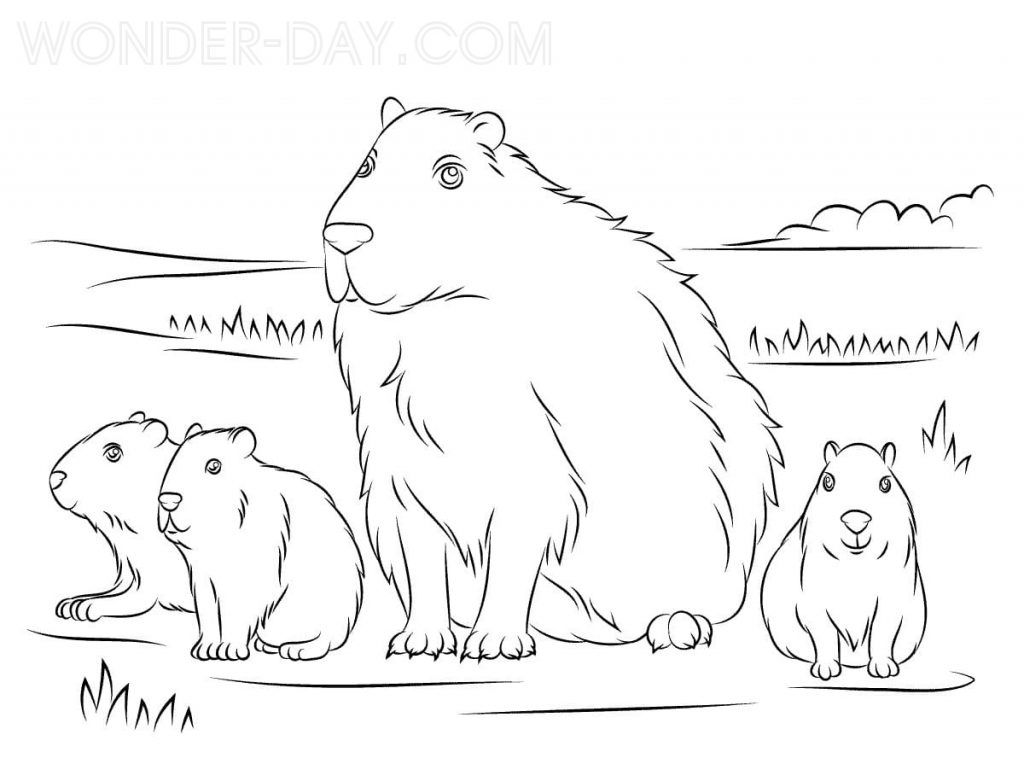 Capibara e la sua famiglia