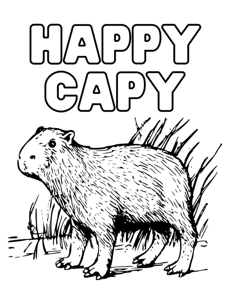 Capybara et herbe