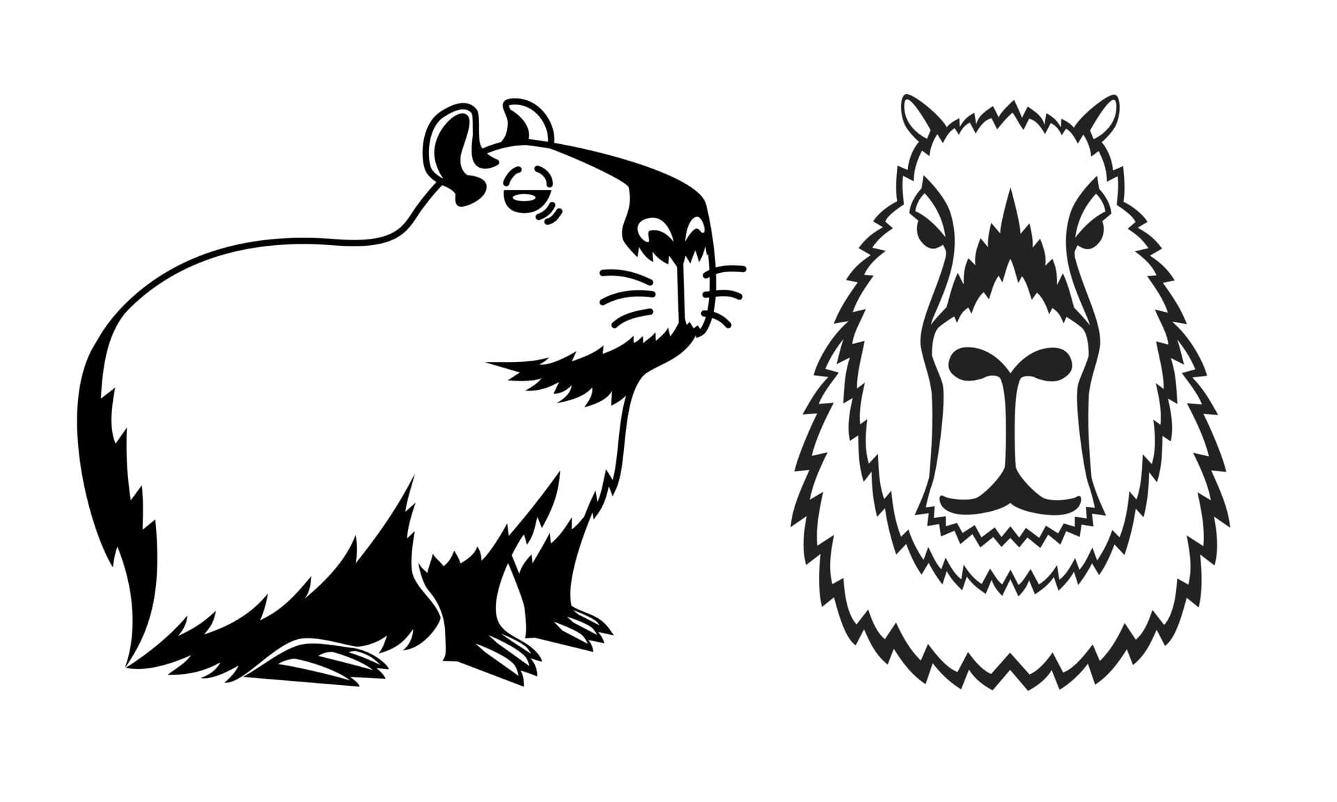 Capybara Animal Isolated Coloring Page for Kids 19979743 Vector