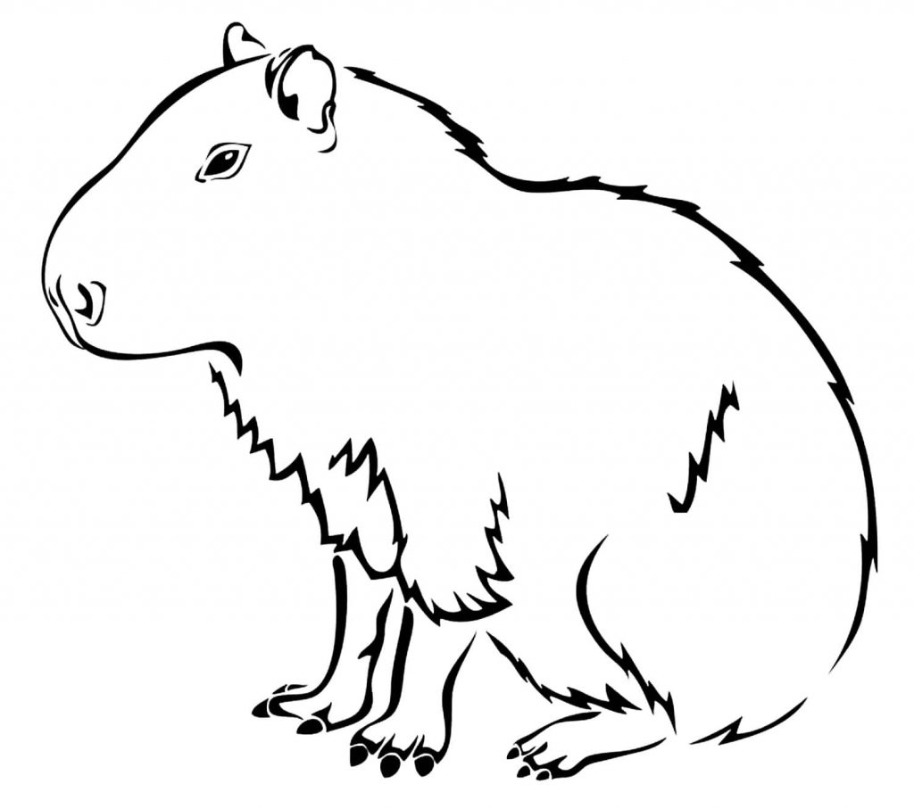 Capybara sitzt