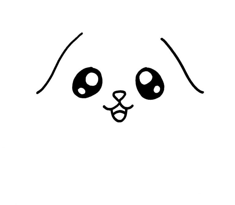 How to Draw Cute Animals WONDER DAY Coloring pages for children and