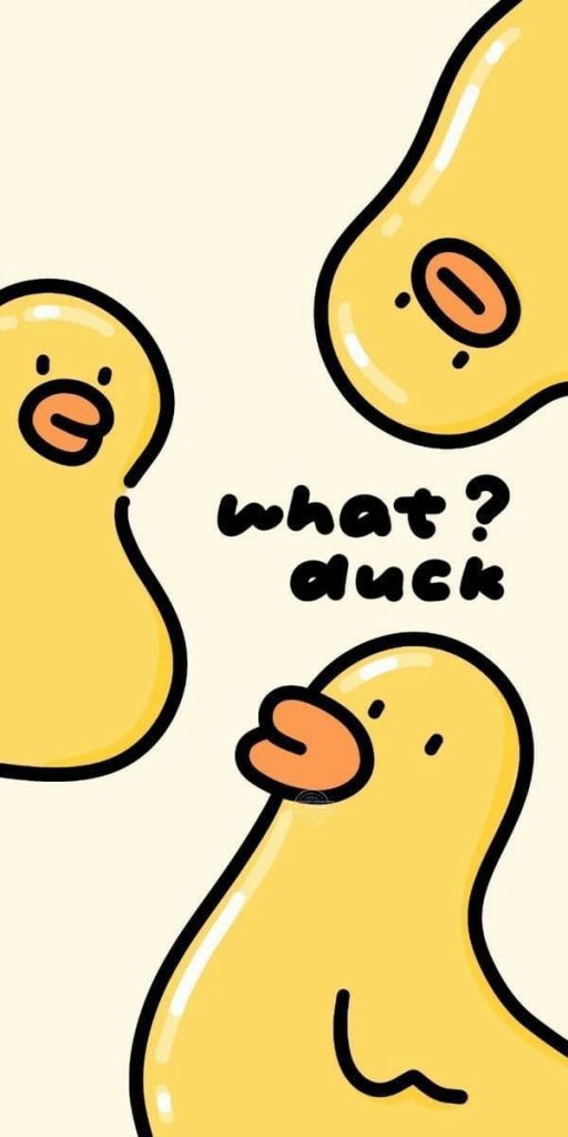 Ducks