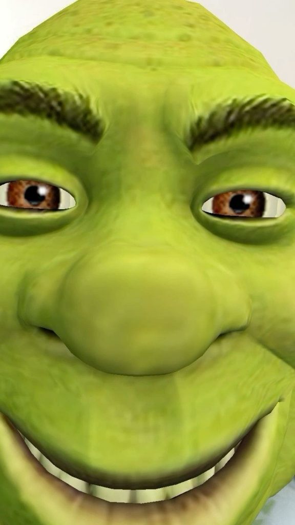 Shrek's face